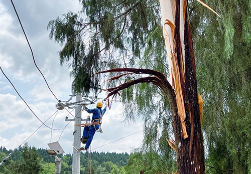 川观新闻：资阳遭遇强对流天气致电网设施受损 眉山供电公司紧急驰援抢修保供电2.jpg