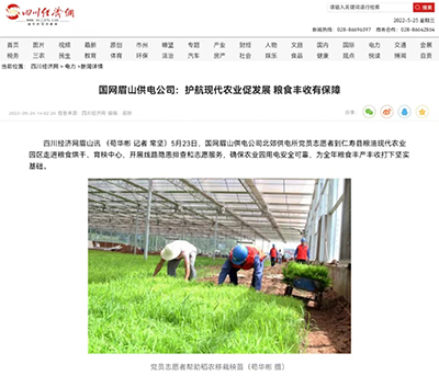 四川经济网：国网眉山供电公司：护航现代农业促发展 粮食丰收有保障1.jpg