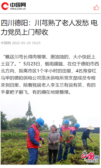 中国网：四川德阳：川芎熟了老人发愁 电力党员上门帮收1.png