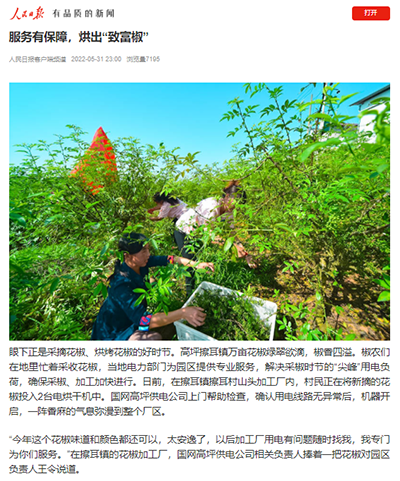 人民日报客户端：服务有保障，烘出“致富椒”1.png