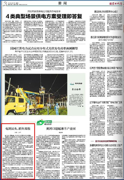 《国家电网报》：电到田头，稻鱼双收1.jpg