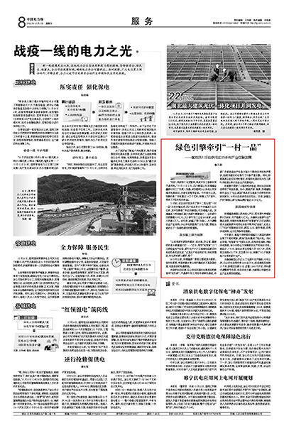 《中国电力报》：绿色引擎牵引“一村一品”1.jpg