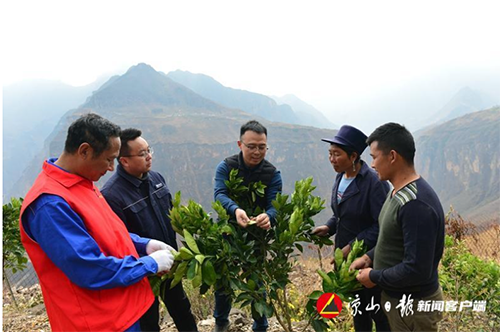 新华社：国网凉山供电公司：做好乡村振兴电力保障的&ldquo;安心石&rdquo;6.png