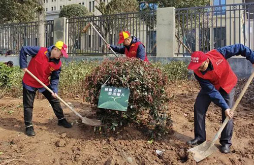 电网头条：为美丽中国增绿！各地电网员工纷纷行动1.jpg