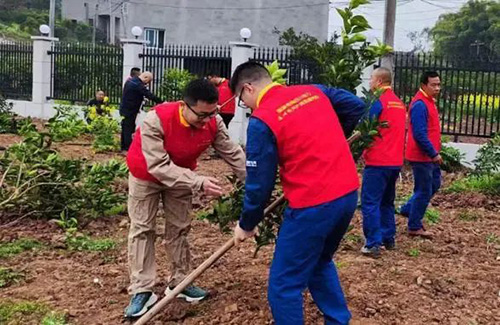 电网头条：为美丽中国增绿！各地电网员工纷纷行动2.jpg