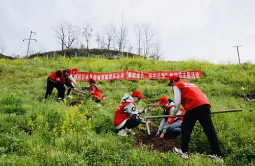 电网头条：为美丽中国增绿！各地电网员工纷纷行动3.jpg