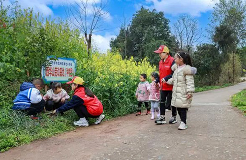 电网头条：为美丽中国增绿！各地电网员工纷纷行动4.jpg