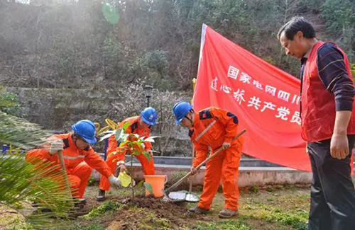 电网头条：为美丽中国增绿！各地电网员工纷纷行动5.jpg