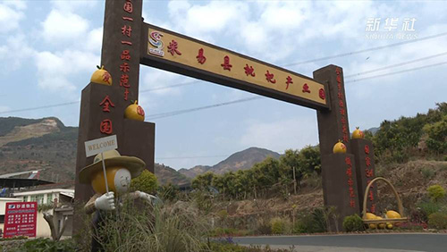 新华社：新华视点｜木棉花开&ldquo;零碳村&rdquo;6.jpg
