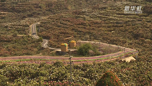 新华社：新华视点｜木棉花开&ldquo;零碳村&rdquo;7.jpg