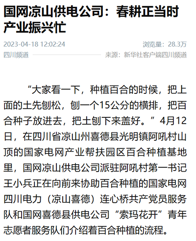 新华社：国网凉山供电公司：春耕正当时 产业振兴忙1.png