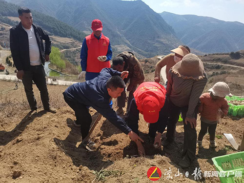 新华社：国网凉山供电公司：春耕正当时 产业振兴忙2.jpg