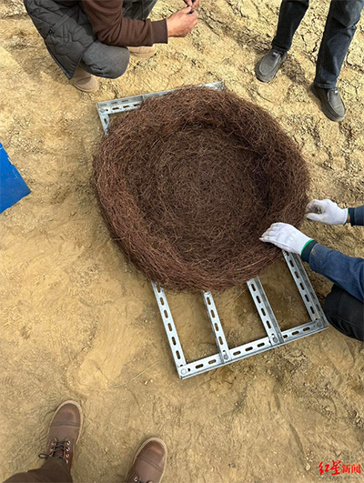 红星新闻：保护生物多样性，方便鸟类&ldquo;安家&rdquo;，草原高压电网铁塔上筑起人工鸟巢3.png