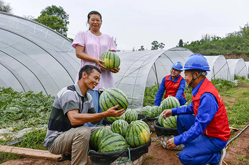 封面新闻：国网自贡供电公司：电力服务进瓜棚 乡村种出&ldquo;致富瓜&rdquo;4.jpg