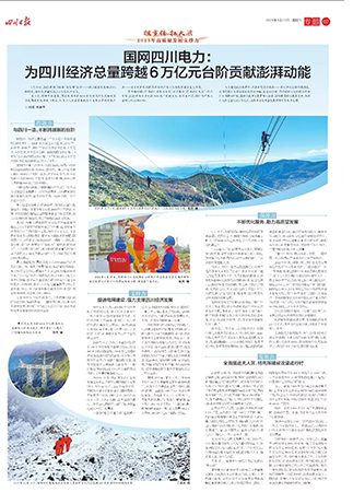 四川日报.jpg