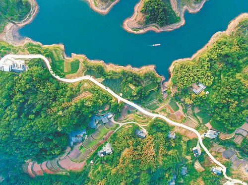 《中国电力报》：四川电力：网架坚强 巴蜀焕新2.jpg