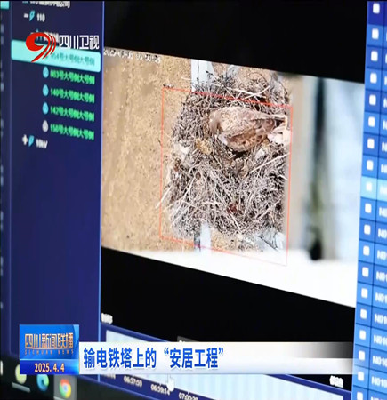6_副本.jpg