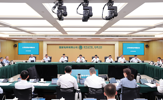 公司召开安委会专题会议