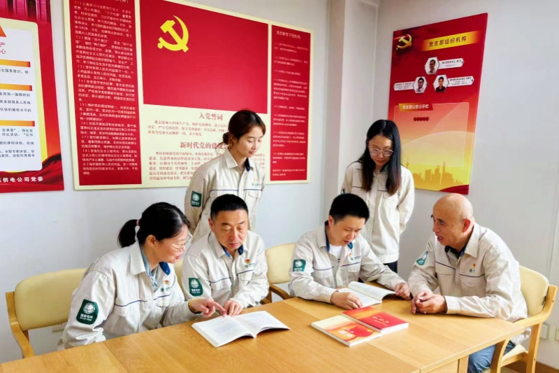 “十四五”国家电网发展成效⑧：党的建设强根铸魂
