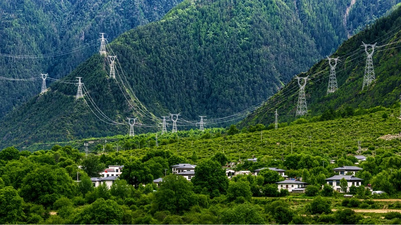 国家电网与西藏自治区党委政府举行会谈