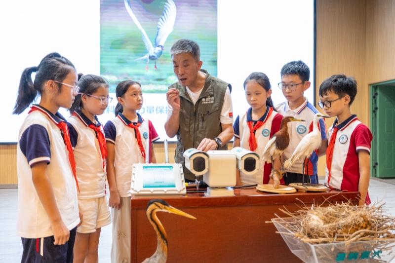 全国科普月:电力科普走进大众