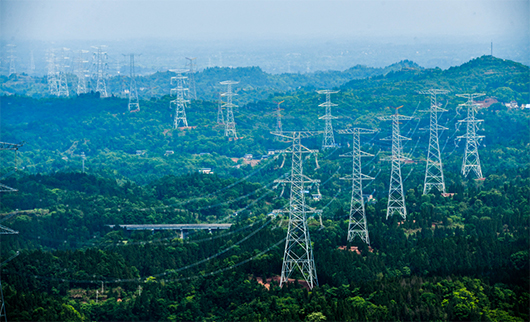 重庆市委书记袁家军会见张智刚董事长