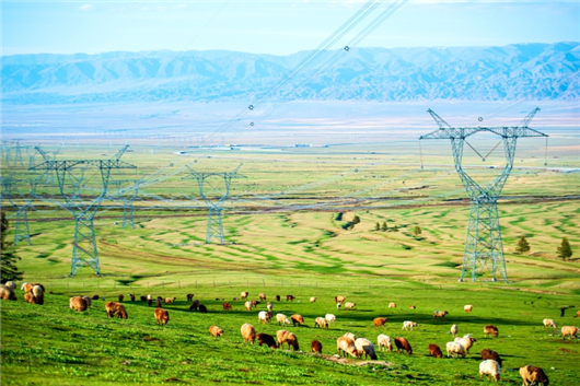 天山南北动能澎湃