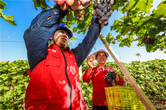 天山南北动能澎湃