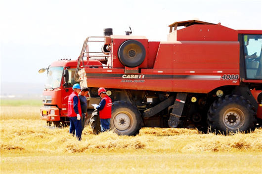 天山南北动能澎湃
