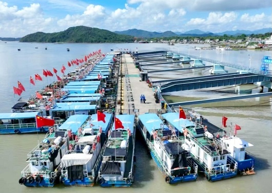 节日我在岗│保障供电服务出行