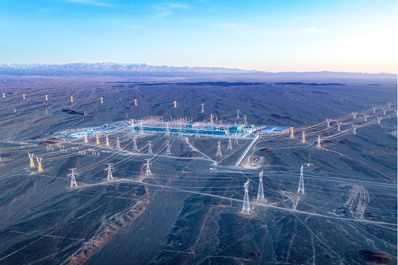 新时代高质量党建工程|电力“金胡杨”凝聚发展动能