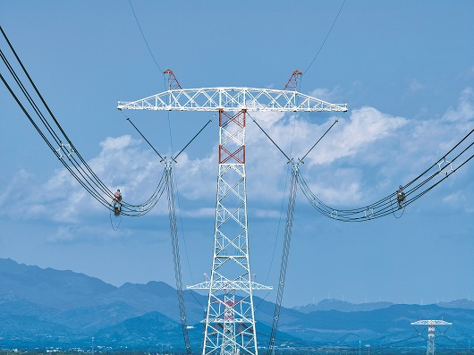 公司举办学习贯彻党的二十届四中全会精神研讨班