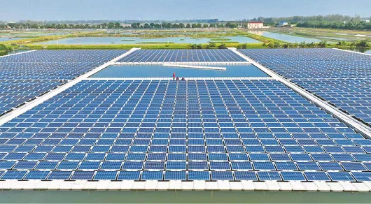 公司举办学习贯彻党的二十届四中全会精神研讨班