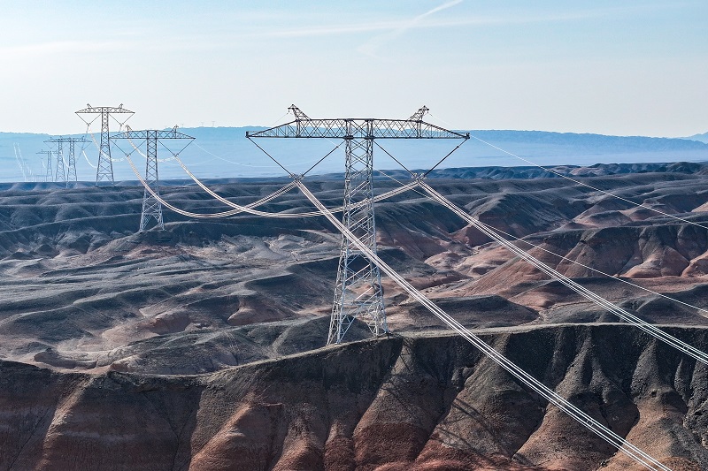 公司党组理论学习中心组专题学习党的二十届四中全会精神