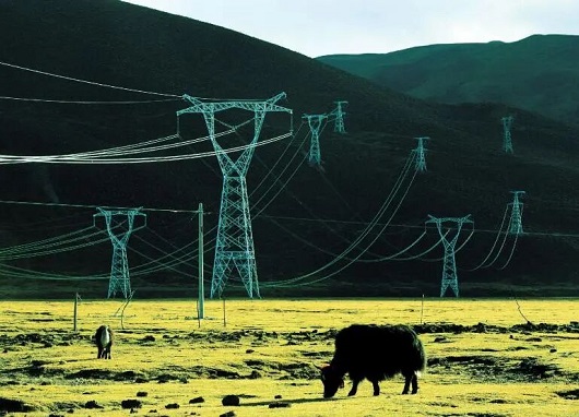 沿着总书记的足迹｜描绘雪域高原电网发展绿色画卷