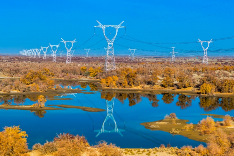 沿着总书记的足迹|电力服务赋能新疆特色产业发展