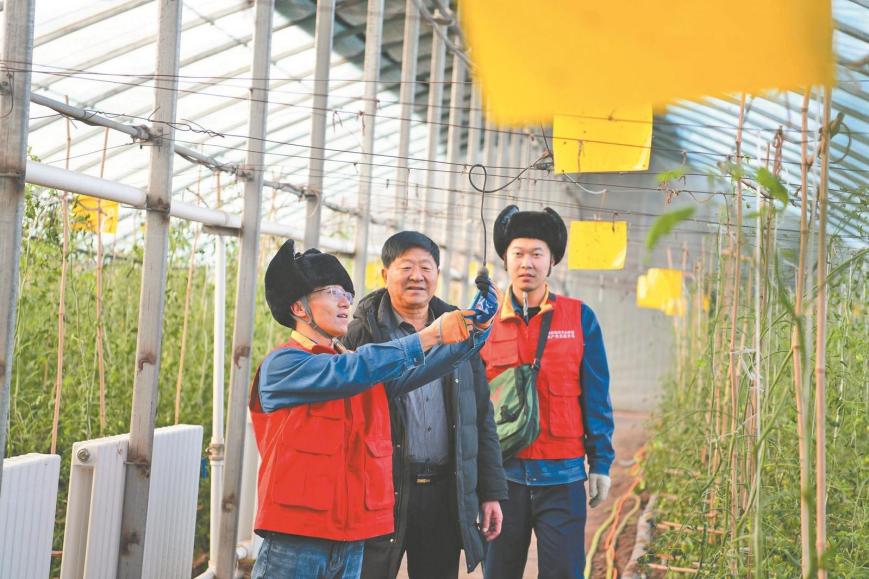 沿着总书记的足迹|电力服务赋能新疆特色产业发展