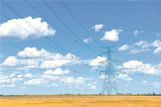 学习贯彻党的二十届四中全会精神｜锚定“双碳”目标书写绿色发展答卷