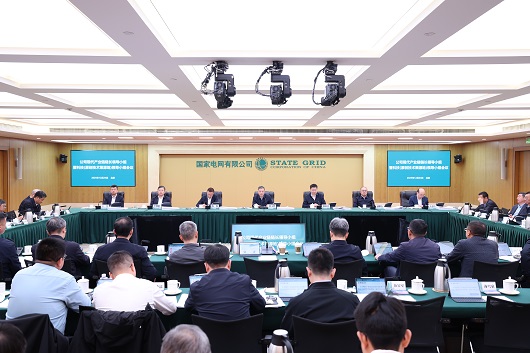 公司现代产业链链长领导小组暨科技（原创技术策源地）领导小组会议召开