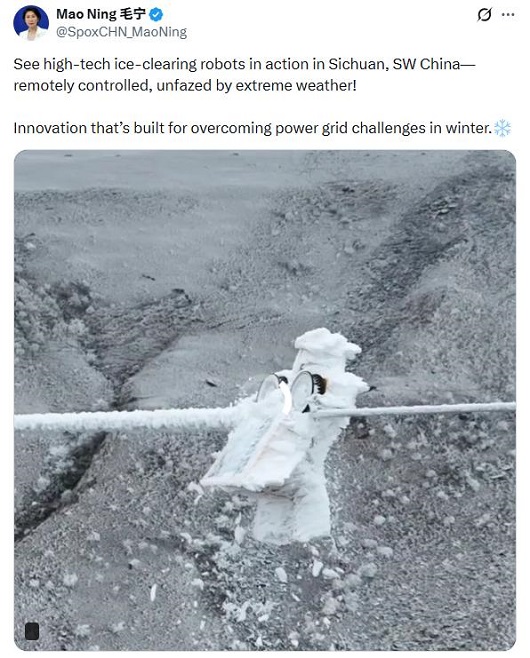 外交部发言人点赞国家电网