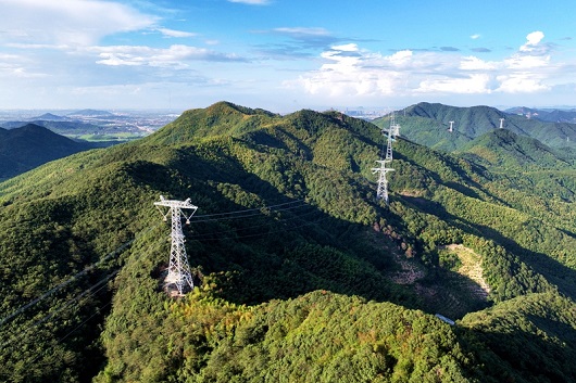 稳投资稳预期推动向新向优发展