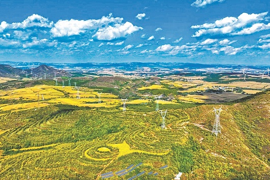 稳投资稳预期推动向新向优发展