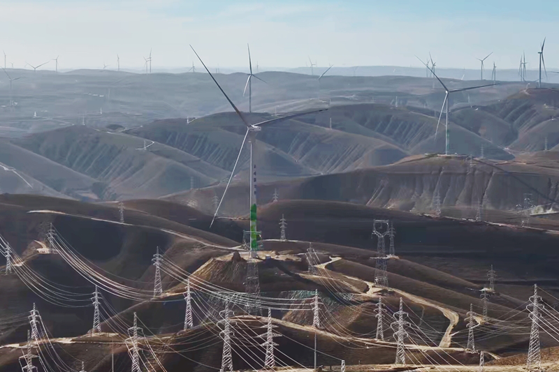 强化战略引领推动国家电网高质量发展