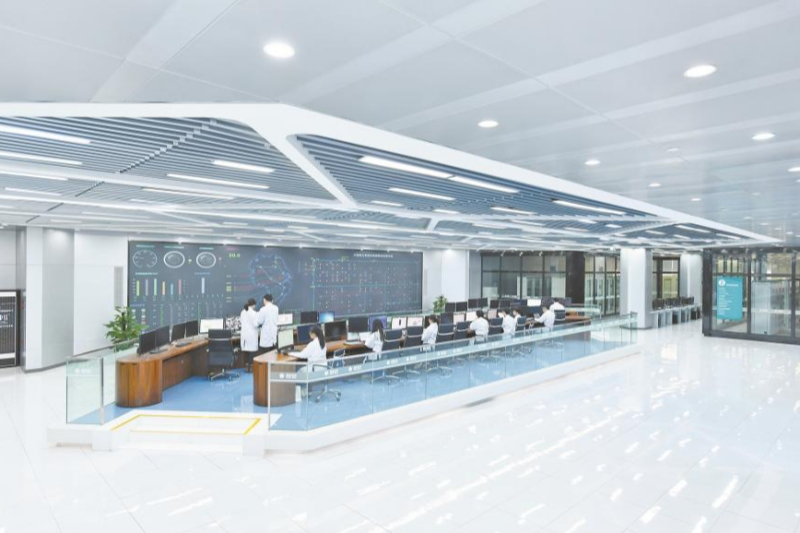 强化战略引领推动国家电网高质量发展