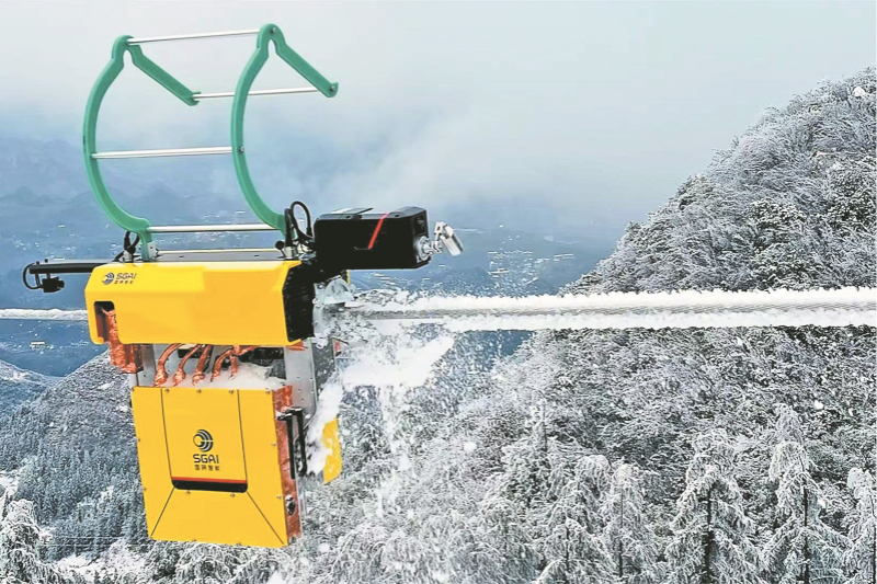 强化战略引领推动国家电网高质量发展