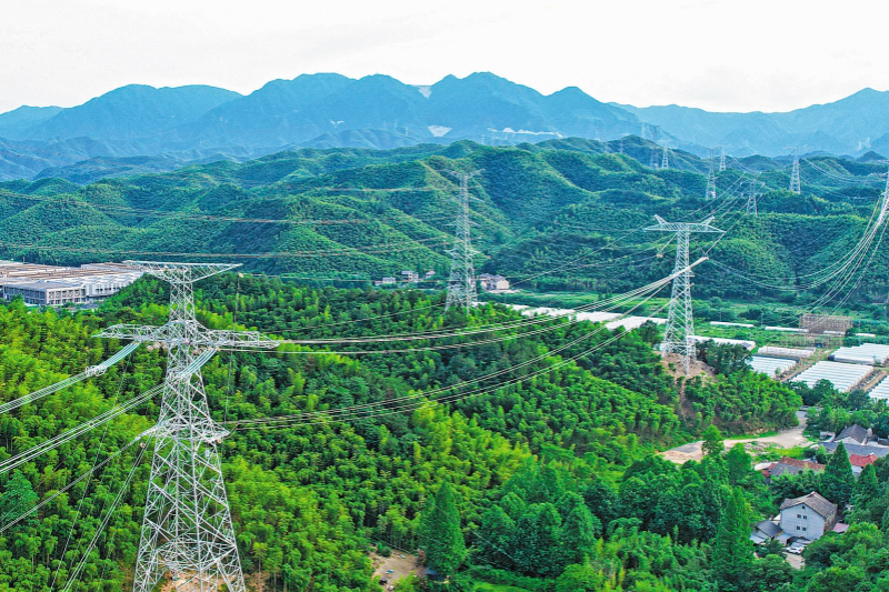 强化战略引领推动国家电网高质量发展