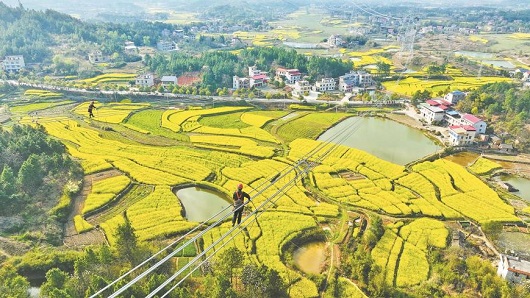 特稿｜持续强根铸魂深入实施新时代高质量党建工程