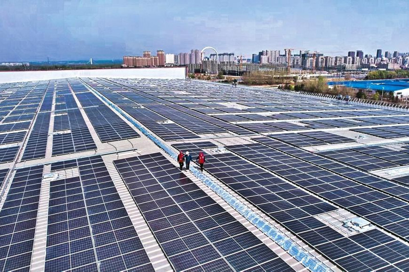 特稿｜凝心聚力谋发展 实干创新显担当