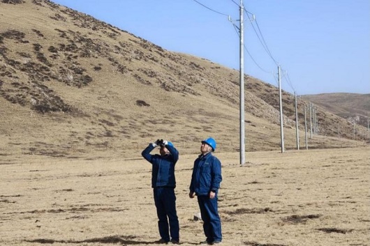 公司全力做好甘肃迭部地震救灾保电工作