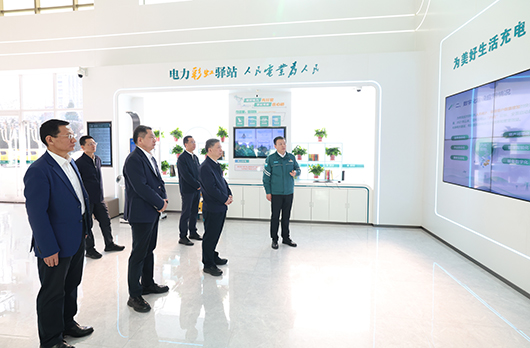 张文峰总经理赴国网山东电力调研